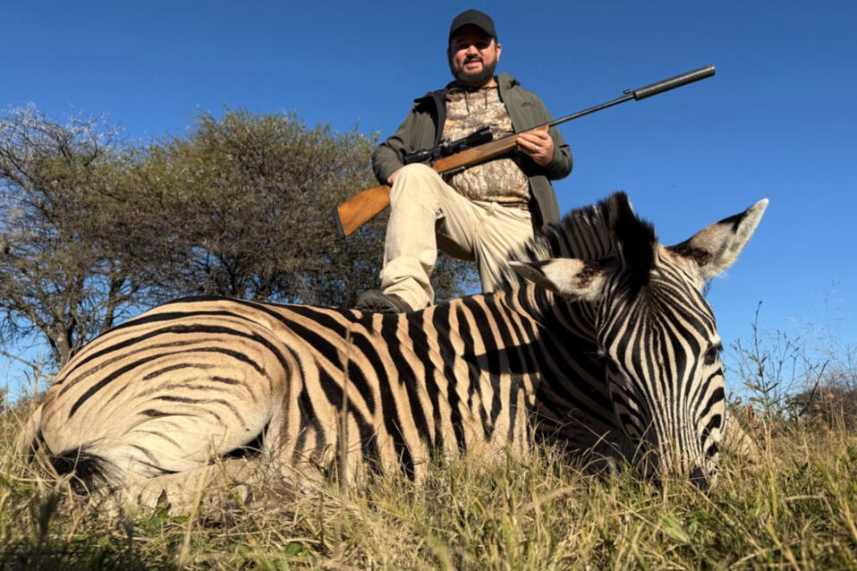 It&#39;s Zebra Time!