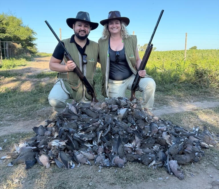 Dove Hunt in Córdoba